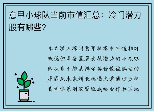 意甲小球队当前市值汇总：冷门潜力股有哪些？